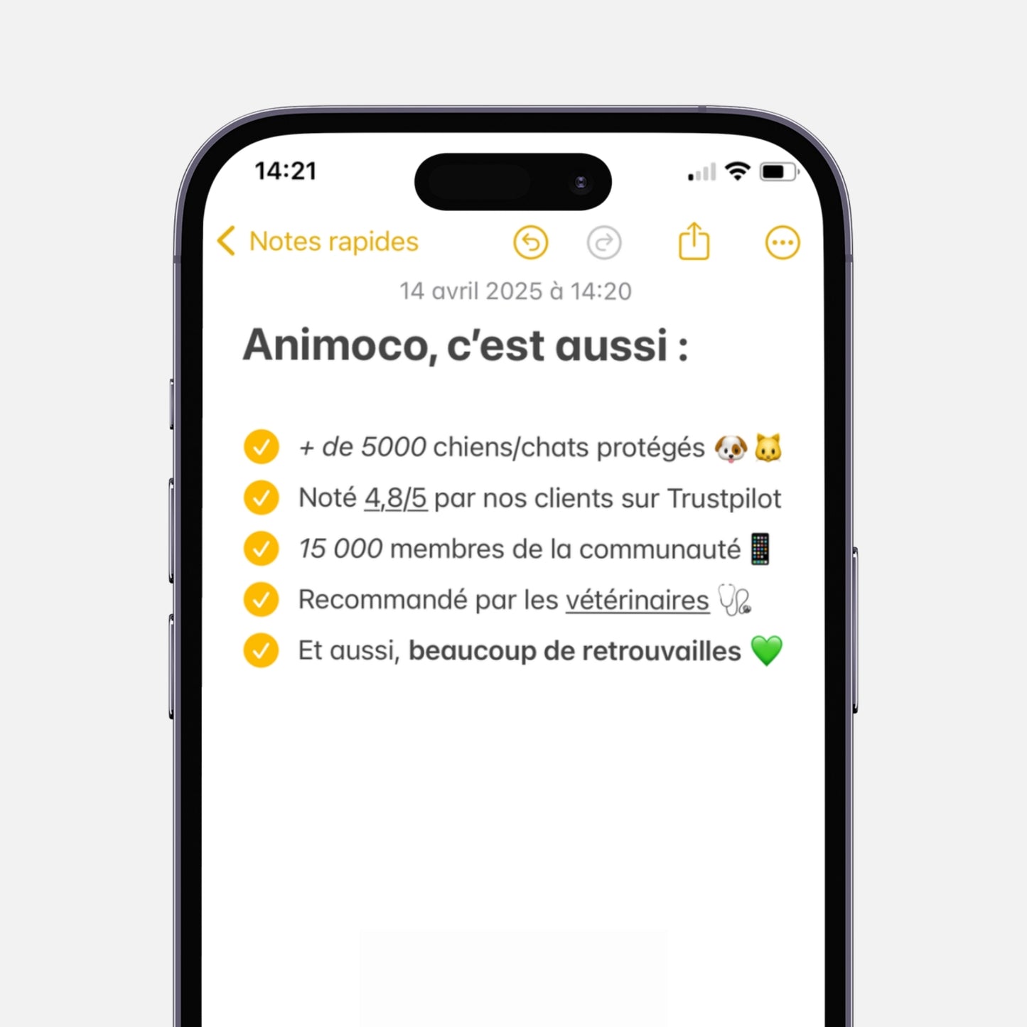 Pack (médaille + collier)