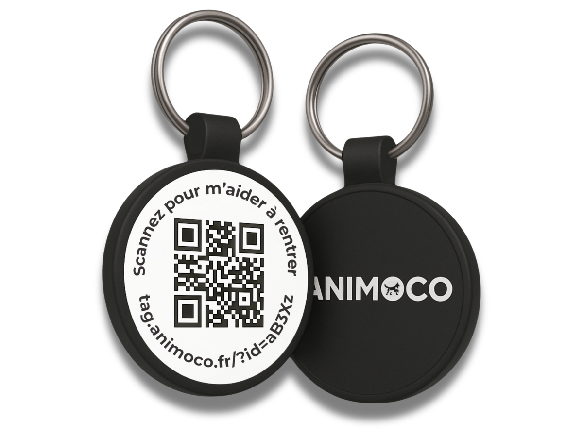 Médaille pour chien Animoco en silicone souple, portée au collier