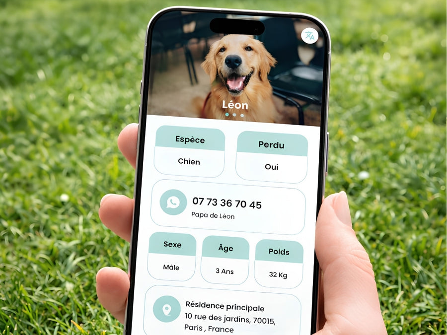 Le profil de l’animal affiché sur un téléphone après le scan : nom, photo, contacts et informations utiles