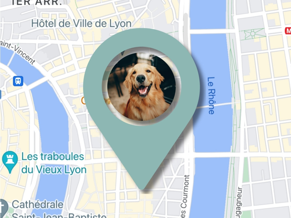 Carte indiquant l’emplacement du téléphone qui a scanné la médaille Animoco