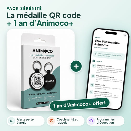 Pack sérénité Animoco : la médaille QR code + 1 an d'Animoco+