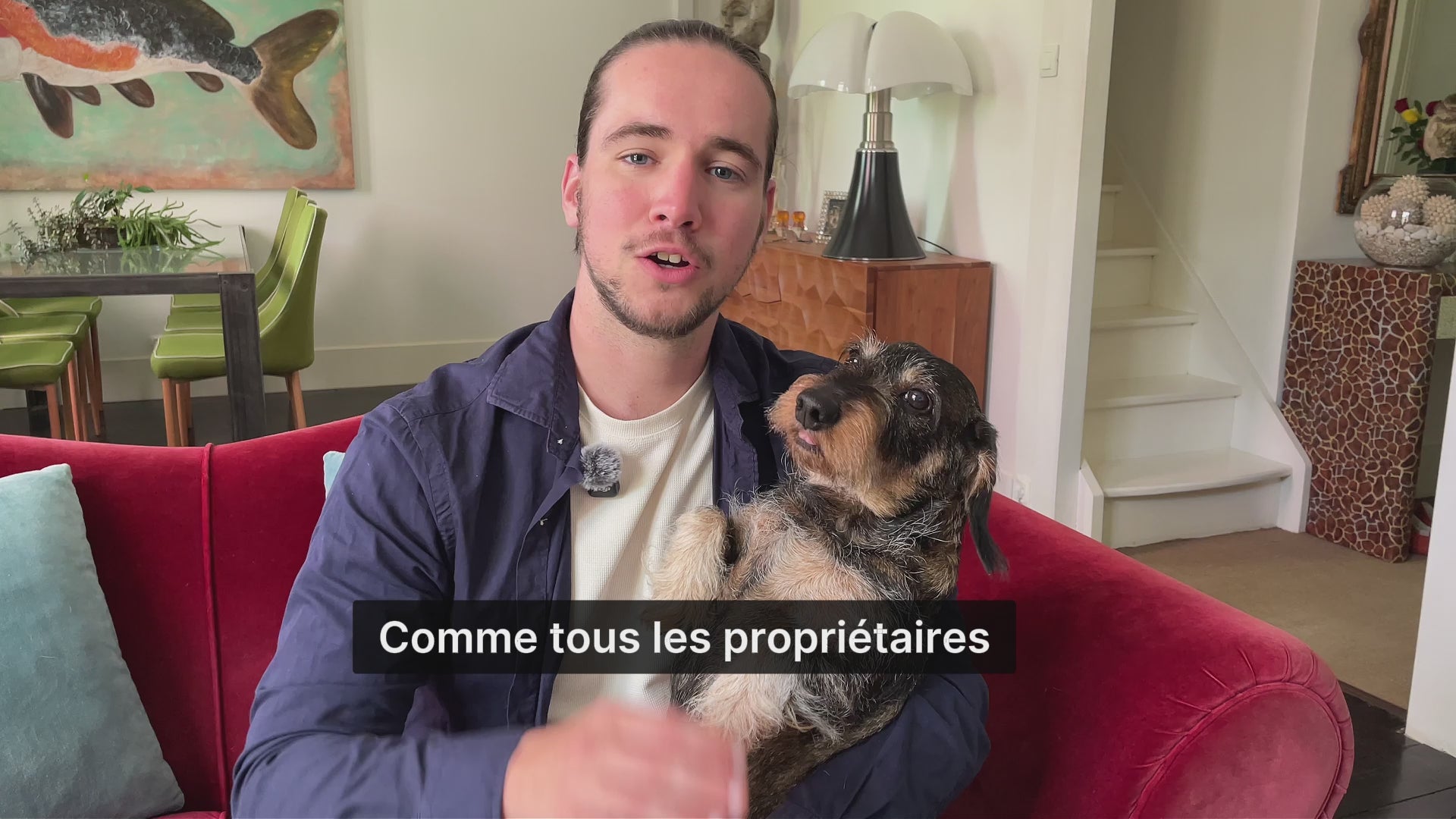 Médaille pour chien personnalisée avec QR code gravé
