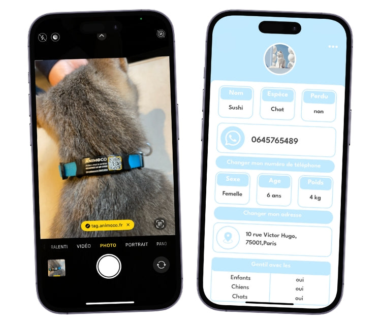 Deux écrans de smartphone qui montre la médaille connectée Animoco sur le collier d'un chat et le profil détaillé d'un animal dans l'application Animoco. Cette image montre comment scanner facilement le QR code sans application pour accéder aux informations de contact, à l'âge, au poids et aux préférences de l'animal.