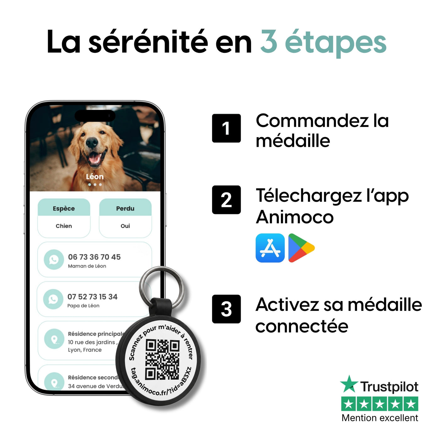 La médaille Animoco au quotidien sur un chien