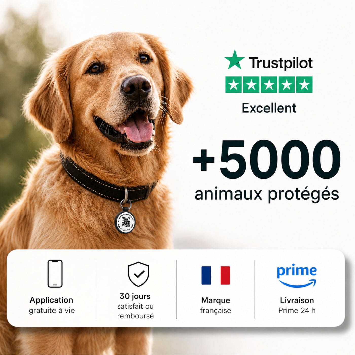 Profil de l animal affiché après le scan de la médaille Animoco