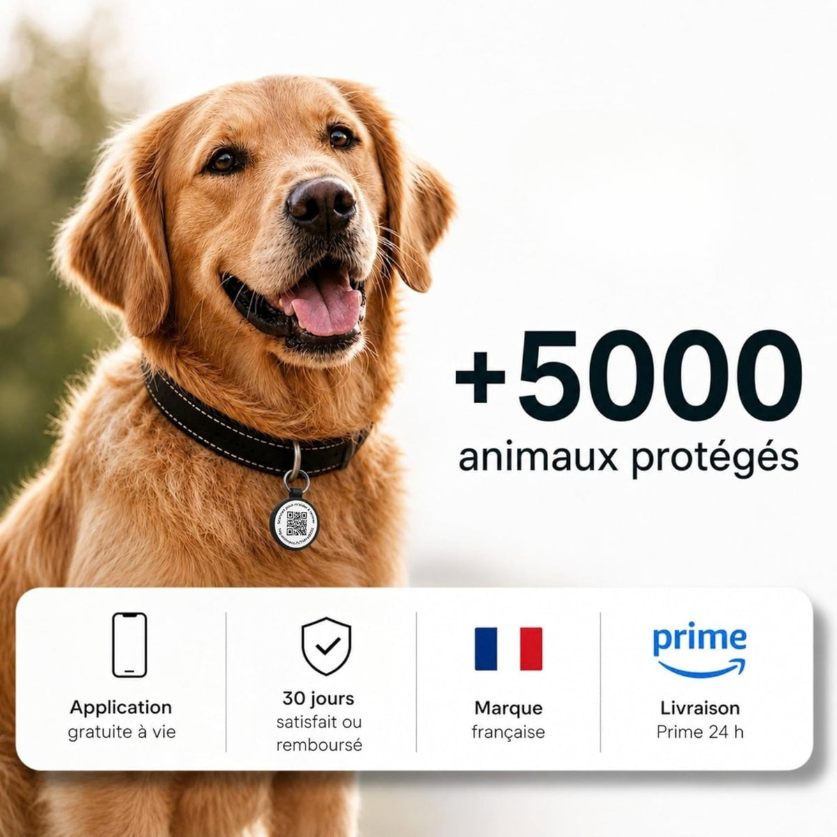 Profil de l animal affiché après le scan de la médaille Animoco