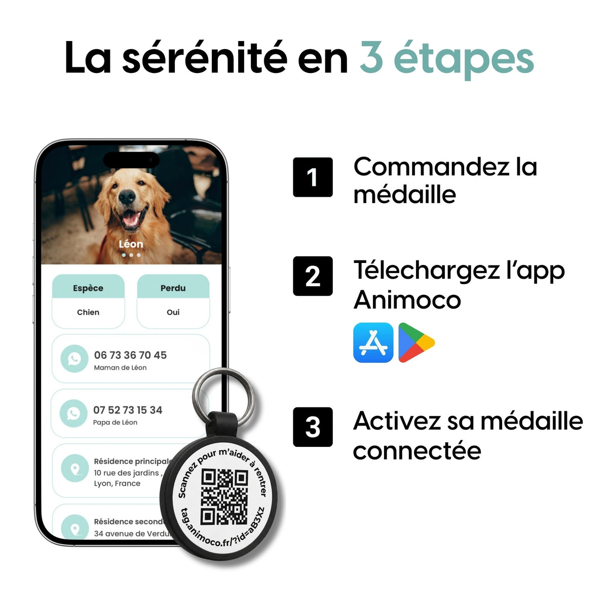 La médaille Animoco au quotidien sur un chien